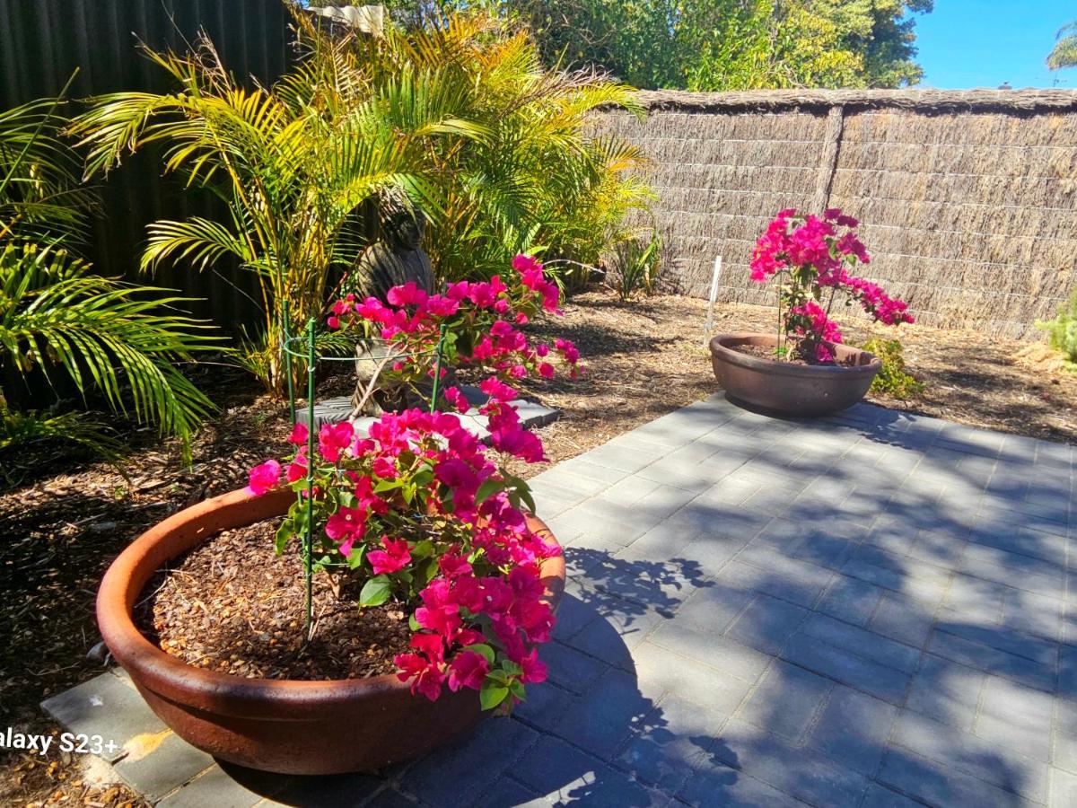 Tranquil Gumnut Cottage - Close To Airport Perth Exteriör bild